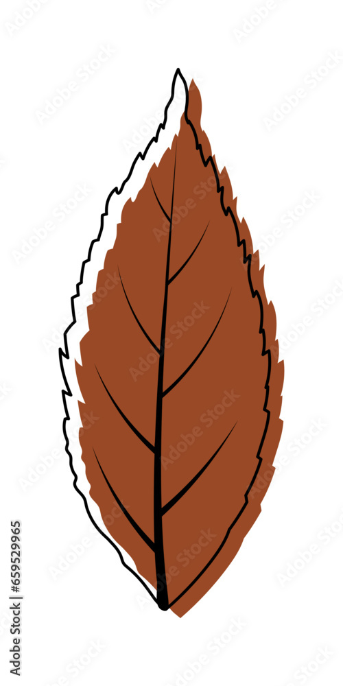 Poster Ash-Tree Leaf