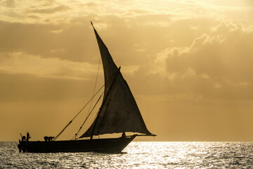 dhow traditional sailing vesssels of zanzibar tanzania - obrazy, fototapety, plakaty