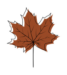 Autumn Maple Leaf