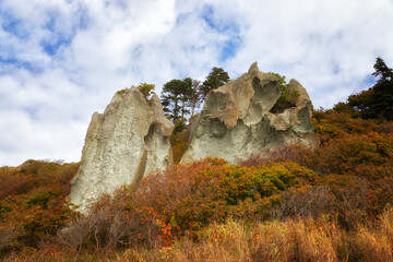 Rock among the autumn forest. Kunashir, South Kuriles