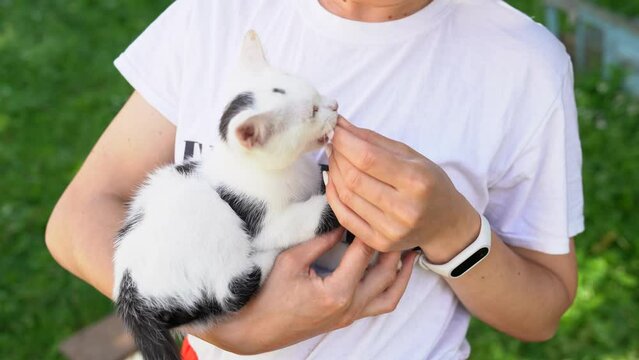 Young woman holding a playful kitten in her arms on white shirt background in outdoor. A girl plays with a small funny cat biting her fingers. Concept of care and love for a pet. Video footage in 4K