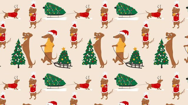 Dachshunds dogs and Christmas trees animation Loop Background. Video flat cartoon animation design element. 4K video footage	