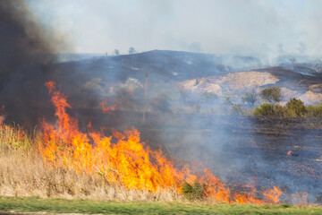 Big Fire in the fields with bright fire and smoke on a dry summer day. Emergency and fire hazard