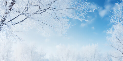 Idyllic winter scene background with snowy fir tree. Branches covered with hoarfrost