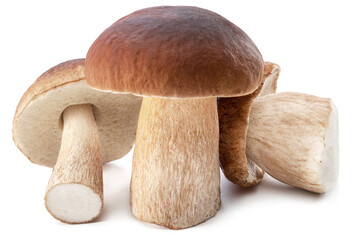 Group of porcini mushrooms isolated on white background.