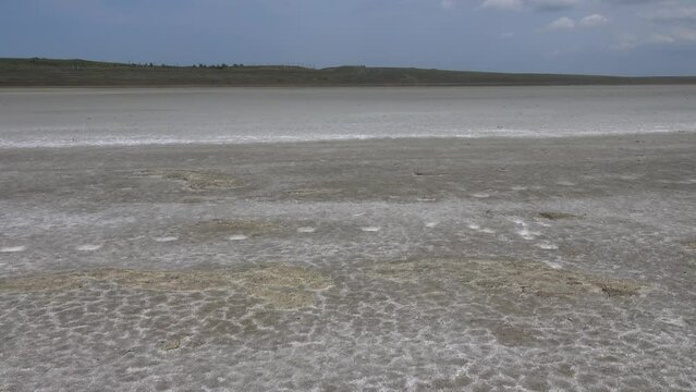 Geography. Dried-up lake basin (dry lakebed), alkali flat. Semi - desert salt-marsh. The shore of the minor depression (drainless lowering of the relief of suffusion) is overgrown with halophytes