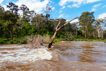 Yarra River Flooding in Warrandyte Australia