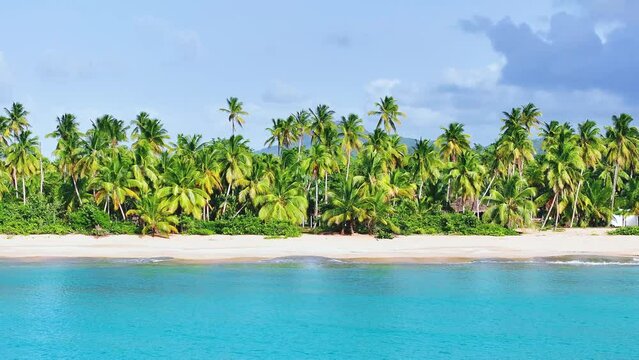 Beautiful landscape of a Caribbean beach with palm trees on white sand against a blue sky with clouds. Paradise island on a sunny summer day. Romantic idealistic image of an exotic beach holiday.