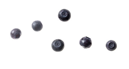 Blueberry berry isolated on white background. Close-up