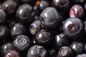 Close-up of blueberries as a background. Macro