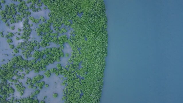 Sunset over Sine Saloum 39, Senegal - Shot taken with drone - Africa