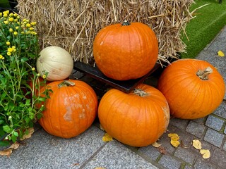 Orange pumpkins