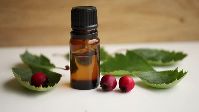 Crataegus curvisepala, Crataegus monogyna, Crataegus rhipidophylla known as common hawthorn or single-seeded hawthorn berries herbal tincture for medicinal purposes. Side view of bottle.