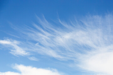 Cirrocumulus clouds in the blue sky background, sky only