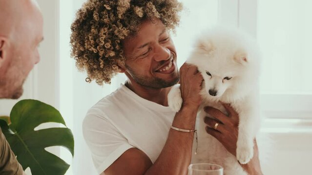 Heartwarming scene of a diverse gay couple, African male with curly hair, cuddling their white fluffy Spitz dog in a bright kitchen