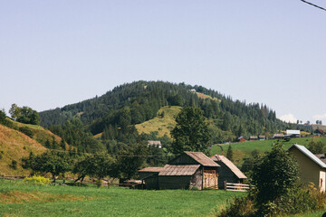 Ukraine Carpathians mountain forest river sun clouds beauty