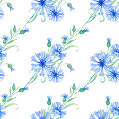 cornflowers. seamless watercolor pattern with blue flowers. Watercolor illustration for fabric, textile, wrapping and wallpaper