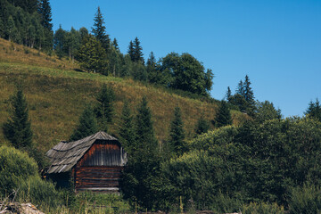 Ukraine Carpathians mountain forest river sun clouds beauty