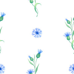 cornflowers. seamless watercolor pattern with blue flowers. Watercolor illustration for fabric, textile, wrapping and wallpaper