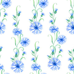 Fototapeta na wymiar cornflowers. seamless watercolor pattern with blue flowers. Watercolor illustration for fabric, textile, wrapping and wallpaper