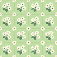Seamless vector pattern with Appalachian rue anemone wildflowers in a geometric pattern on a light green background. Sweet botanical illustration perfect for fabric, accessories, gift wrap, wallpaper.