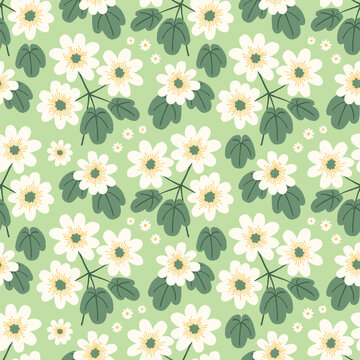 Seamless vector pattern with Appalachian rue anemone wildflowers on a light green background. Modern botanical illustration perfect for fabric, wallpaper, accessories, paper goods, gift wrap.