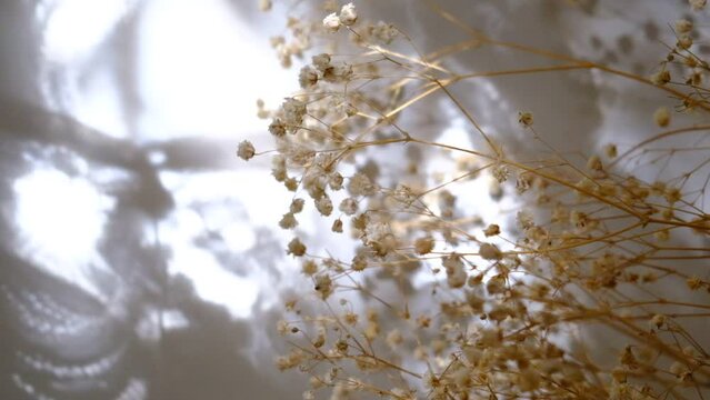 Boho style. Background with copy space, shadow of dragonfly, dry flowers.  Home sweet Home. Balance life