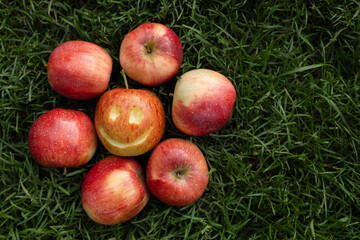 Among  red apples on green grass, one apple with a smile carved on it. positive concept, choice to be happy. Healthy lifestyle, natural vitamins. joyful vegetarianism. fruit advertisement. harvesting