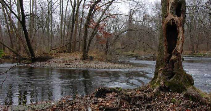 An eerie hollow tree along a river bank with rushing water. . 4k  Horizontal camera pan.