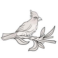 bird perched on a tree branch in a tropical jungle, black and white outline vector cartoon illustration for a coloring book page.