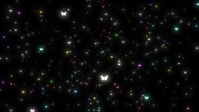 Camera Flying Through Butterfly Glowing Twinkle Star Moving In Sky, Butterfly Moving On Space, Animation Of Blinking Butterfly Moving On Black Background, Glittering Particle Butterfly Background Deep