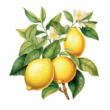 Lemons in cartoon, doodle style. 2d vector illustration in logo, icon style. AI Generative