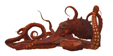 Octopus isolated on a Transparent Background