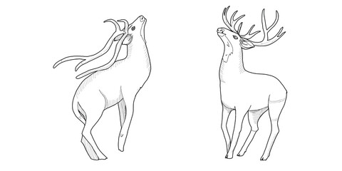 Set of graphic full-length deer with spots and big horns