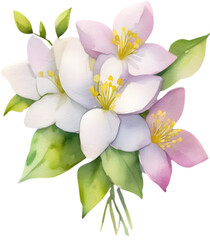 A close-up watercolor drawing of a bouquet of Jasmine flowers. AI-Generated.

