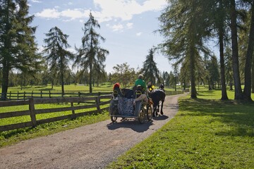 Fototapeta na wymiar San Genesio Bolzano e carrozza con cavalli