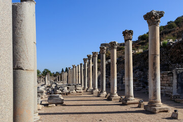The top of a column is a capital of the Corinthian order on the ruins of the ancient city of Ephesus