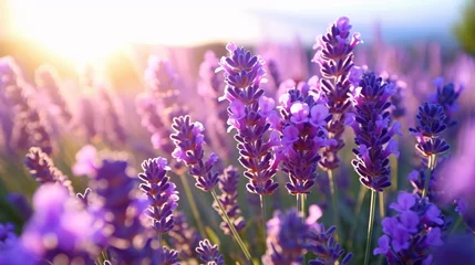 Foto op Plexiglas a group of purple flowers © KWY