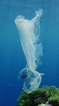 Vertical video, Plastic bag drifts under surface of Ocean in bright sunbeams, slow motion. An old torn transparent plastic bag floats underwater in blue water on sunny day. Plastic pollution of Ocean