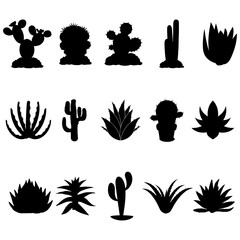 Agaves svg, Agave bundle svg, agaves vector files, Plant svg, nature cactus svg collection - obrazy, fototapety, plakaty
