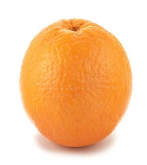 One orange on a white background