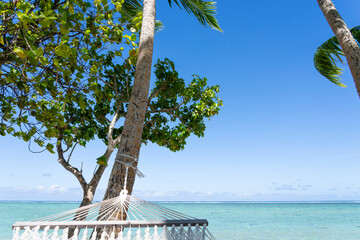 White rope hammock tied to coconut palm tree at waters edge
