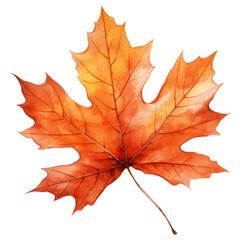 Maple Leaf isolated on transparent background, Watercolor, Autumn Leaf cutout. Generative AI