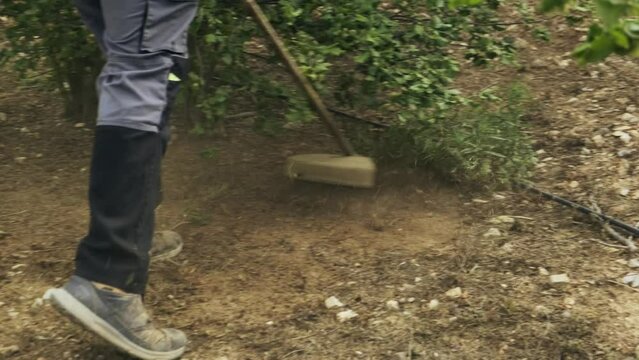 Hombre quitando malas hierbas de un &aacute;rbol