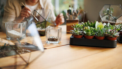 Succulents and stones on table near blurred florist working with terrarium in floral shop