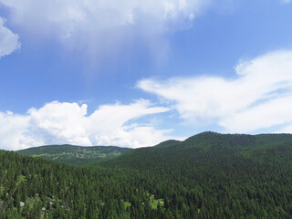 Fototapeta premium Aerial view of a green mountain landscape sprawling beautiful coniferous forest.