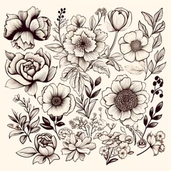 Deurstickers Black and white drawings of flowers and plants, hand drawings - AI generated image © BEMPhoto