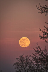 Fototapeta premium Roter Mond am Himmel