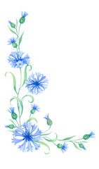 Fototapeta na wymiar Bouquet blue flowers cornflowers, composition watercolor elements with flowers and buds