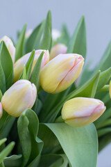 Naklejka premium Flowers, tulips, bouquet of tulips
